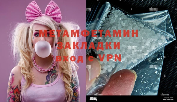 прущие грибы Балабаново